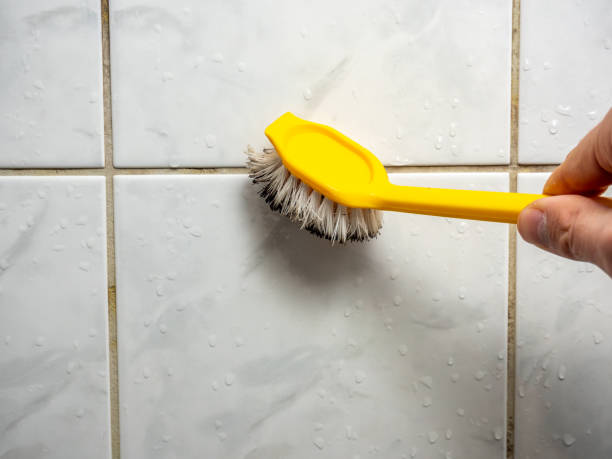 Best Toxic Mold Removal  in South Les, AK