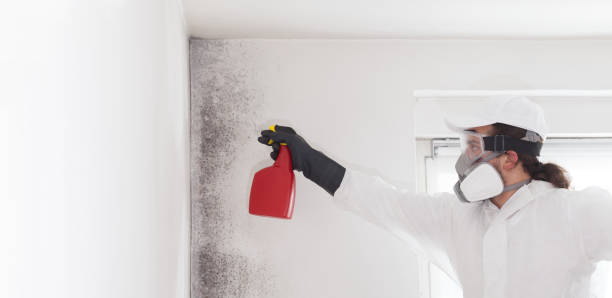 Best Water Damage Restoration  in South Les, AK