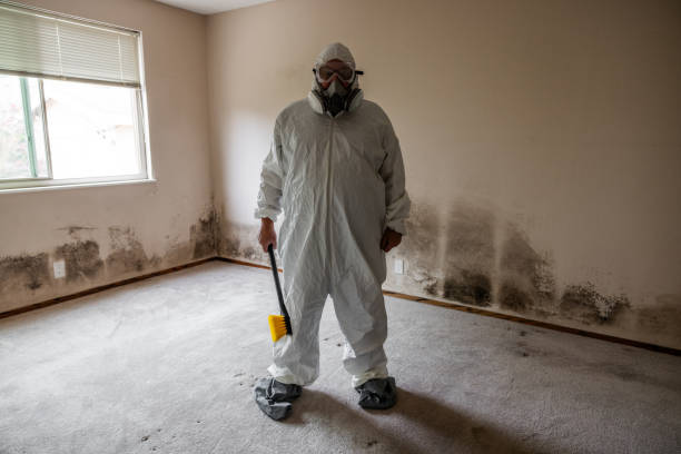 Water Damage Restoration in South Lakes, AK